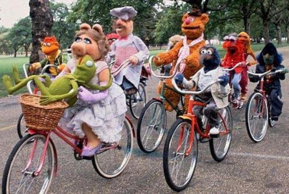 🚲 자전거의 나라 사이클 스포츠 센터(지텐샤노쿠니 사이쿠루스포-츠센타-) 이미지 7